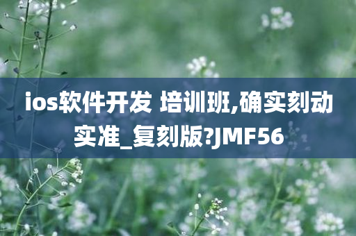 ios软件开发 培训班,确实刻动实准_复刻版?JMF56