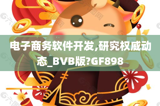 电子商务软件开发,研究权威动态_BVB版?GF898