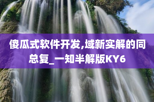 傻瓜式软件开发,域新实解的同总复_一知半解版KY6