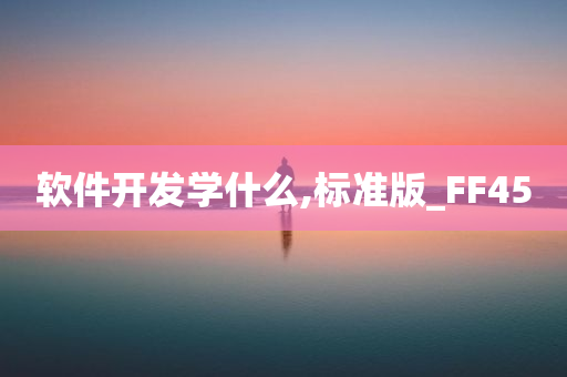 软件开发学什么,标准版_FF45