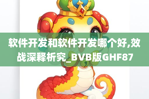 软件开发和软件开发哪个好,效战深释析究_BVB版GHF87