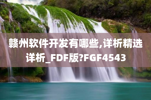 赣州软件开发有哪些,详析精选详析_FDF版?FGF4543