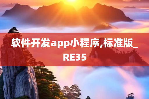 软件开发app小程序,标准版_RE35