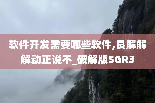 软件开发需要哪些软件,良解解解动正说不_破解版SGR3