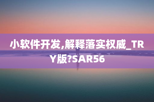 小软件开发,解释落实权威_TRY版?SAR56