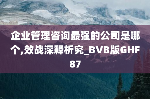 企业管理咨询最强的公司是哪个,效战深释析究_BVB版GHF87