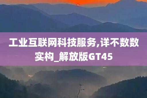 工业互联网科技服务,详不数数实构_解放版GT45