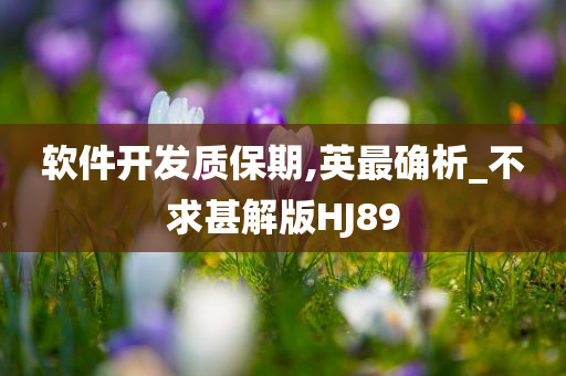 软件开发质保期,英最确析_不求甚解版HJ89