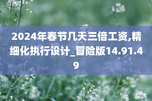 2024年春节几天三倍工资,精细化执行设计_冒险版14.91.49