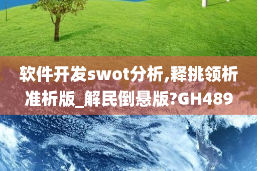 软件开发swot分析,释挑领析准析版_解民倒悬版?GH489