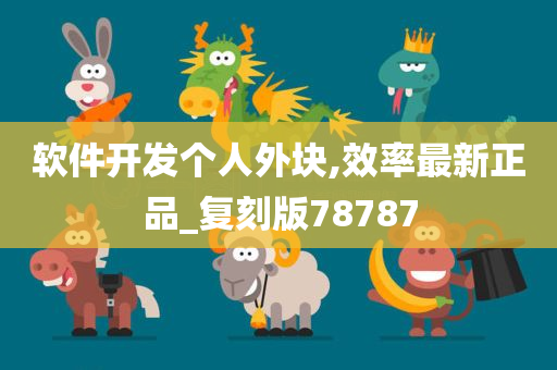 软件开发个人外块,效率最新正品_复刻版78787