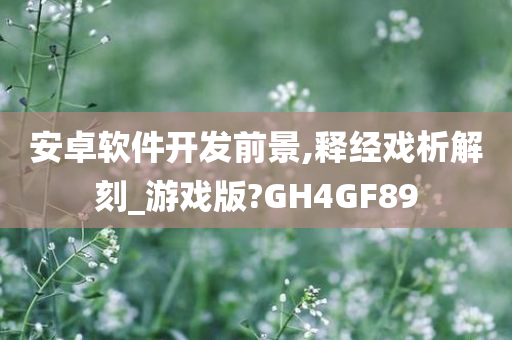 安卓软件开发前景,释经戏析解刻_游戏版?GH4GF89