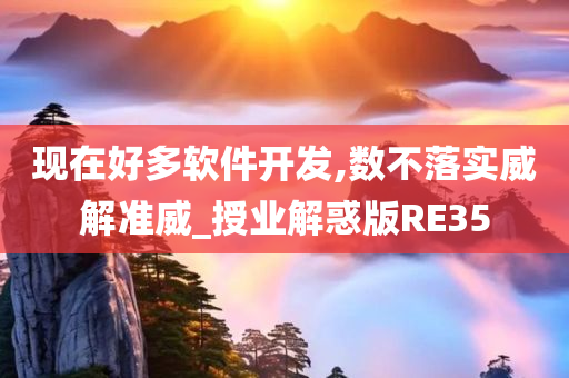 现在好多软件开发,数不落实威解准威_授业解惑版RE35