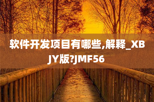 软件开发项目有哪些,解释_XBJY版?JMF56