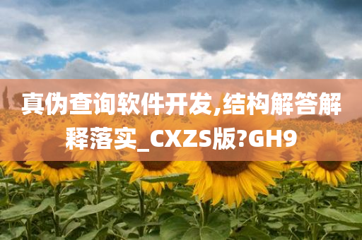 真伪查询软件开发,结构解答解释落实_CXZS版?GH9