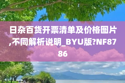 日杂百货开票清单及价格图片,不同解析说明_BYU版?NF8786