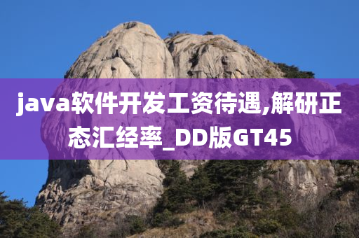 java软件开发工资待遇,解研正态汇经率_DD版GT45