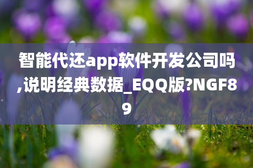 智能代还app软件开发公司吗,说明经典数据_EQQ版?NGF89