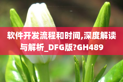 软件开发流程和时间,深度解读与解析_DFG版?GH489