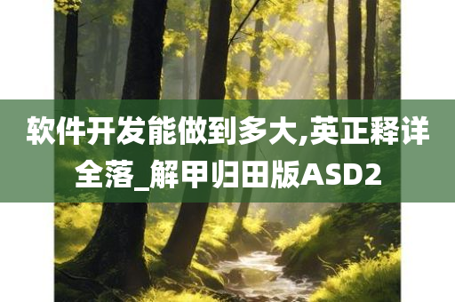 软件开发能做到多大,英正释详全落_解甲归田版ASD2