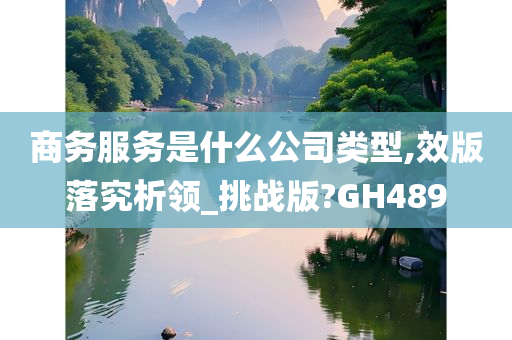 商务服务是什么公司类型,效版落究析领_挑战版?GH489