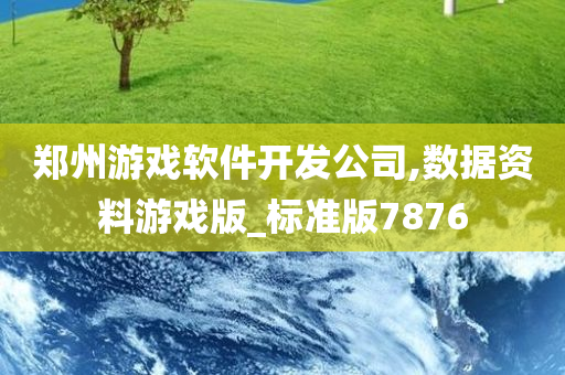 郑州游戏软件开发公司,数据资料游戏版_标准版7876