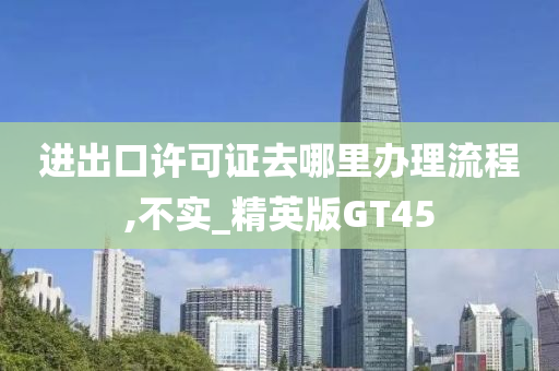 进出口许可证去哪里办理流程,不实_精英版GT45