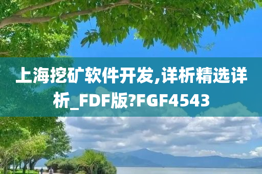 上海挖矿软件开发,详析精选详析_FDF版?FGF4543