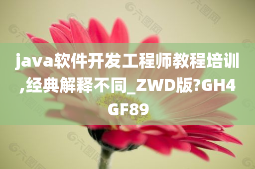 java软件开发工程师教程培训,经典解释不同_ZWD版?GH4GF89