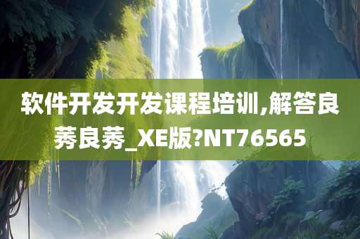 软件开发开发课程培训,解答良莠良莠_XE版?NT76565