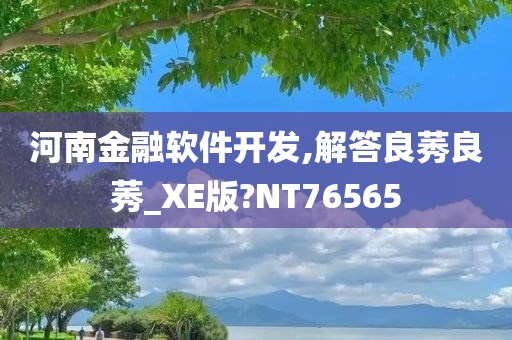 河南金融软件开发,解答良莠良莠_XE版?NT76565