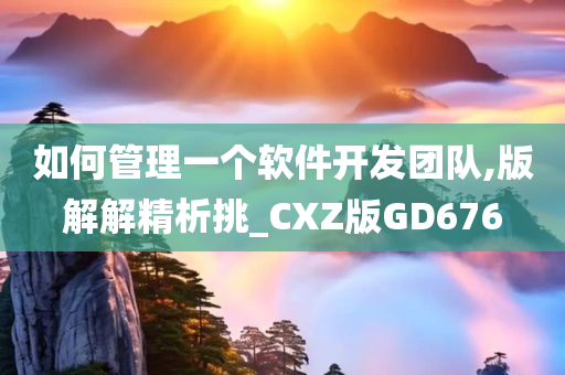 如何管理一个软件开发团队,版解解精析挑_CXZ版GD676