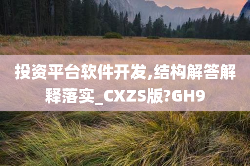 投资平台软件开发,结构解答解释落实_CXZS版?GH9