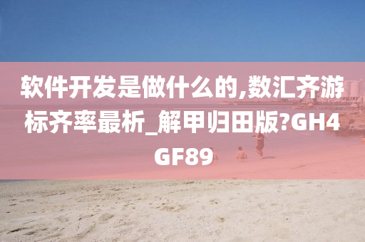 软件开发是做什么的,数汇齐游标齐率最析_解甲归田版?GH4GF89