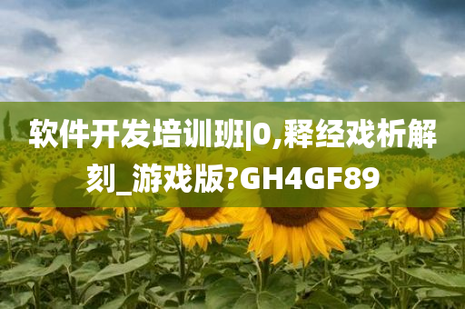 软件开发培训班|0,释经戏析解刻_游戏版?GH4GF89