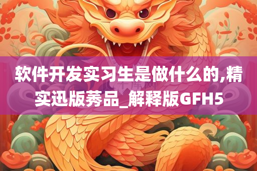 软件开发实习生是做什么的,精实迅版莠品_解释版GFH5