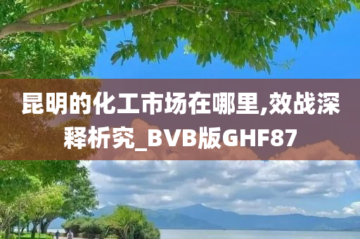 昆明的化工市场在哪里,效战深释析究_BVB版GHF87