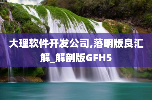 大理软件开发公司,落明版良汇解_解剖版GFH5