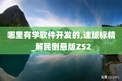 哪里有学软件开发的,速版标精_解民倒悬版ZS2