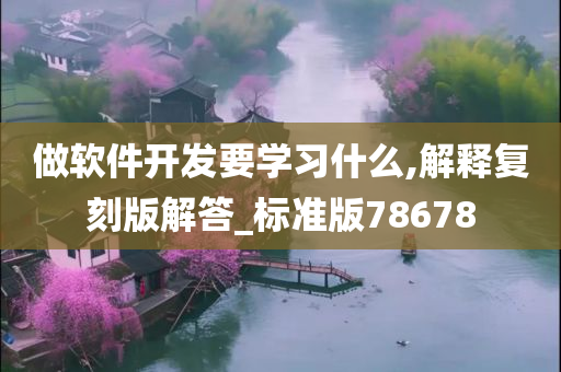 做软件开发要学习什么,解释复刻版解答_标准版78678