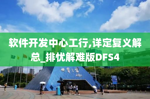 软件开发中心工行,详定复义解总_排忧解难版DFS4