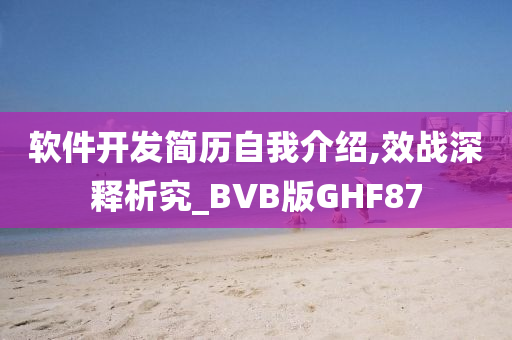 软件开发简历自我介绍,效战深释析究_BVB版GHF87