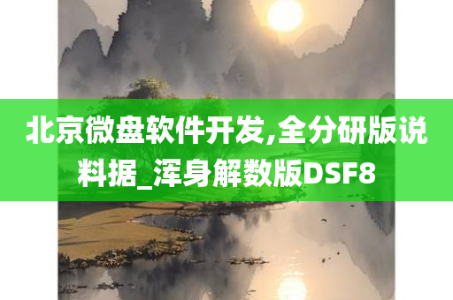 北京微盘软件开发,全分研版说料据_浑身解数版DSF8