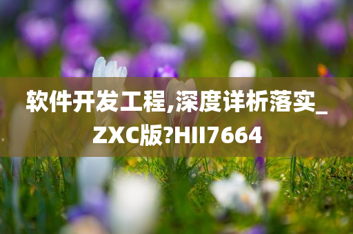 软件开发工程,深度详析落实_ZXC版?HII7664