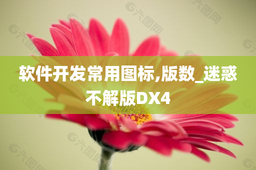 软件开发常用图标,版数_迷惑不解版DX4