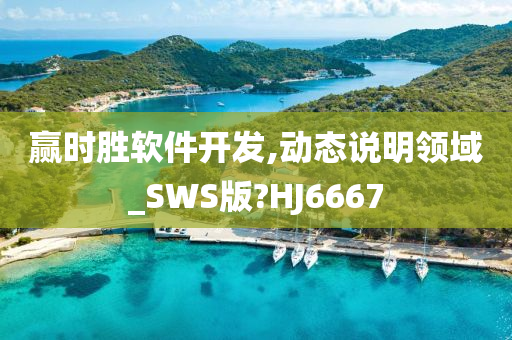 赢时胜软件开发,动态说明领域_SWS版?HJ6667