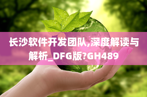 长沙软件开发团队,深度解读与解析_DFG版?GH489