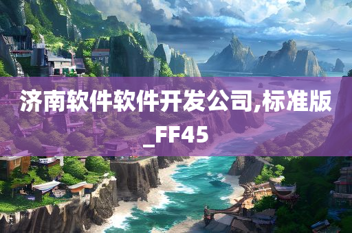 济南软件软件开发公司,标准版_FF45