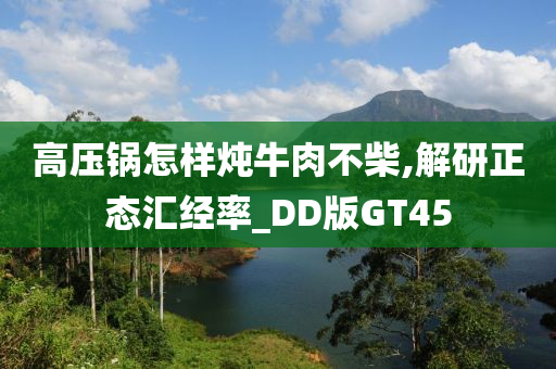 高压锅怎样炖牛肉不柴,解研正态汇经率_DD版GT45