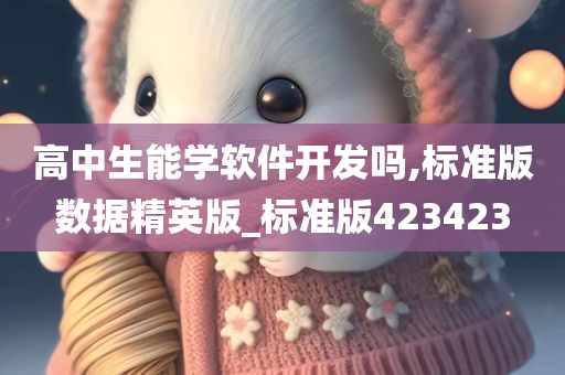 高中生能学软件开发吗,标准版数据精英版_标准版423423